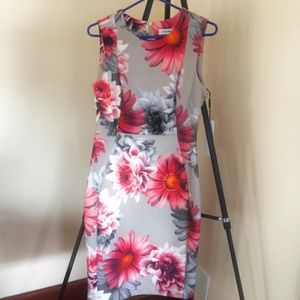 NWT CALVIN KLEIN DRESS SZ 6 Gold Back Zipper